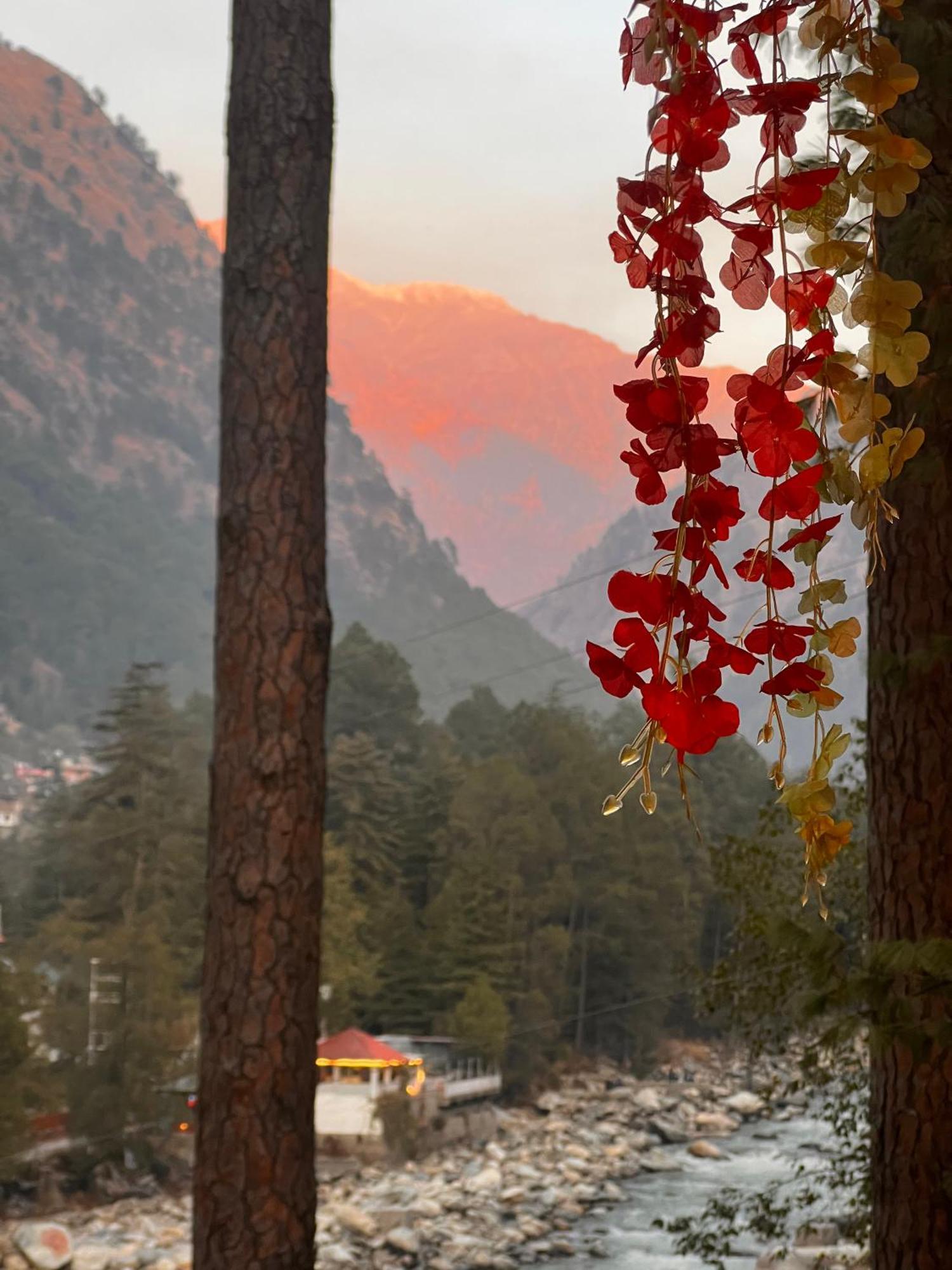Ahava Kasol Riverside Cafe And Cottages 외부 사진