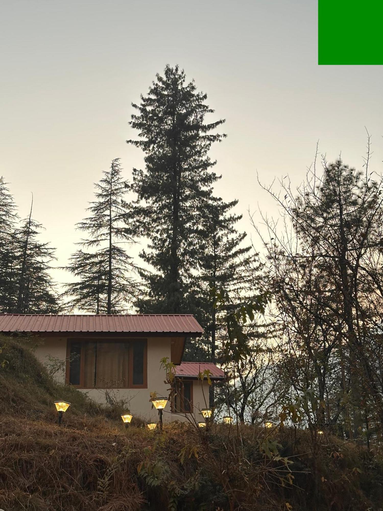 Ahava Kasol Riverside Cafe And Cottages 외부 사진